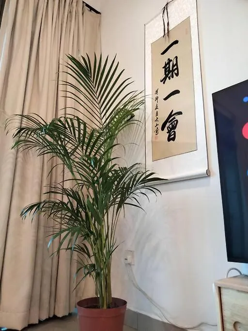 035 Palazio Apartment Japanese Style Studio Mount Austin Wifi & Netflix جوهر بهرو 0*,